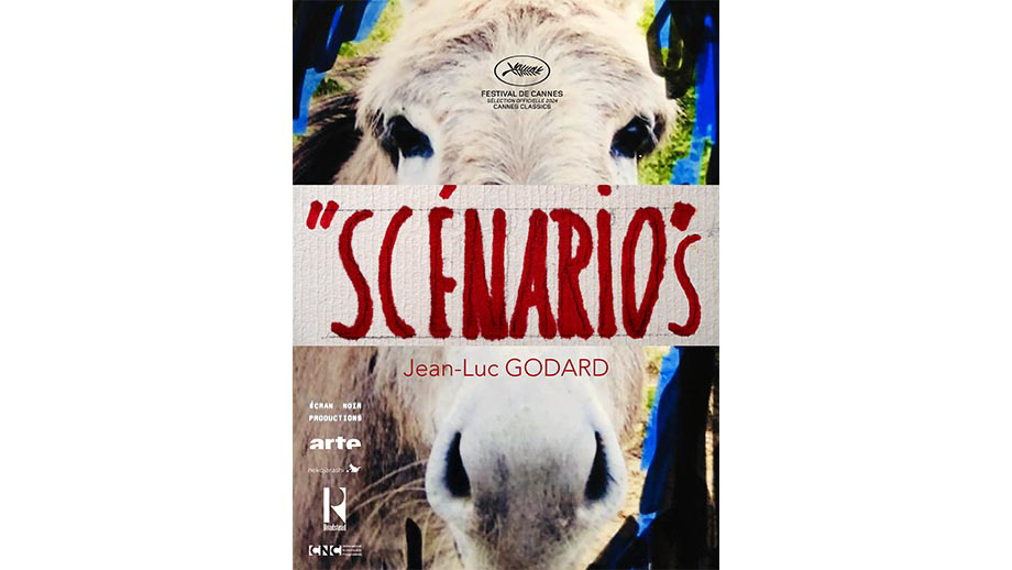Scénarios & Exposé du film annonce du film “Scénario”】 | 第37回
