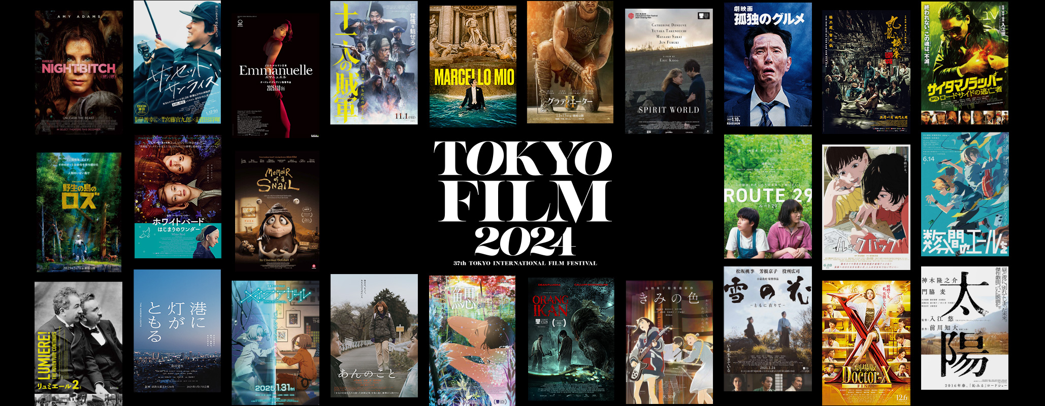 TOKYO FILM 2024 2024年10月28日（月）～11月6日（水）